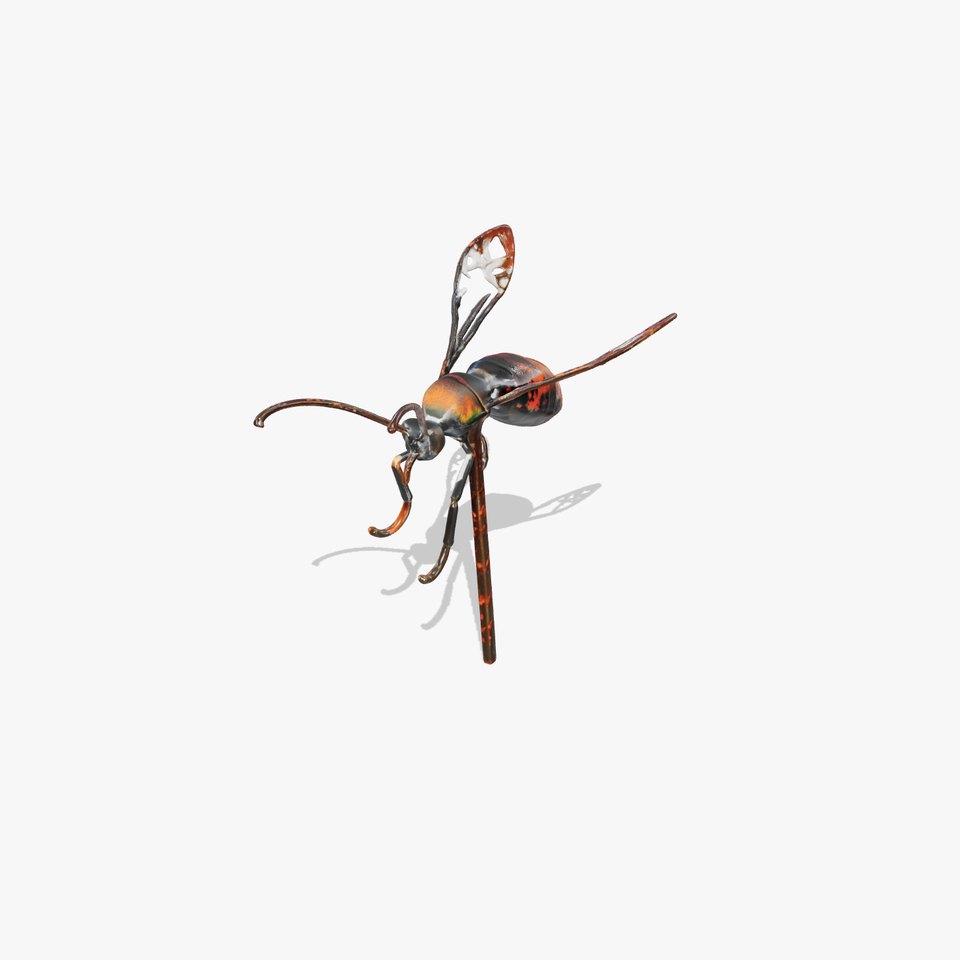 Insect Model Pack with Detailed Textures and LOD Options